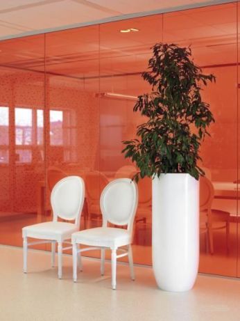 Furnish Indoor  Plants  Melbourne  With Adequate Lighting 